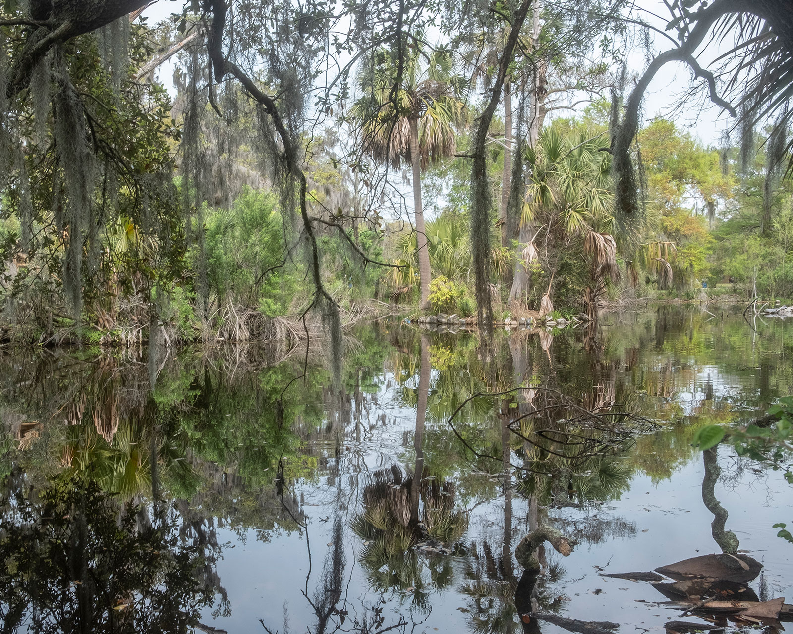Künstlerischen Porträt Anna Pekala