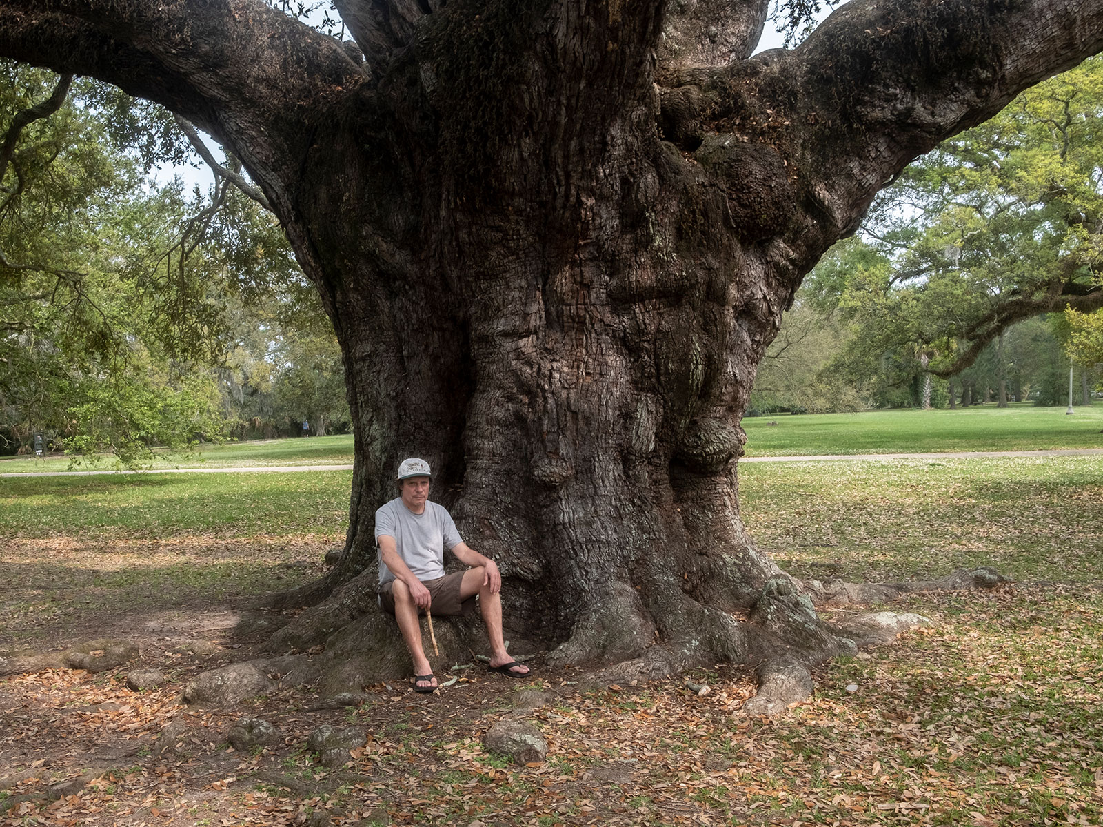 Alt-Bild aus der kuenstlerischen Arbeit Tomek - Wonderland von Anna Pekala