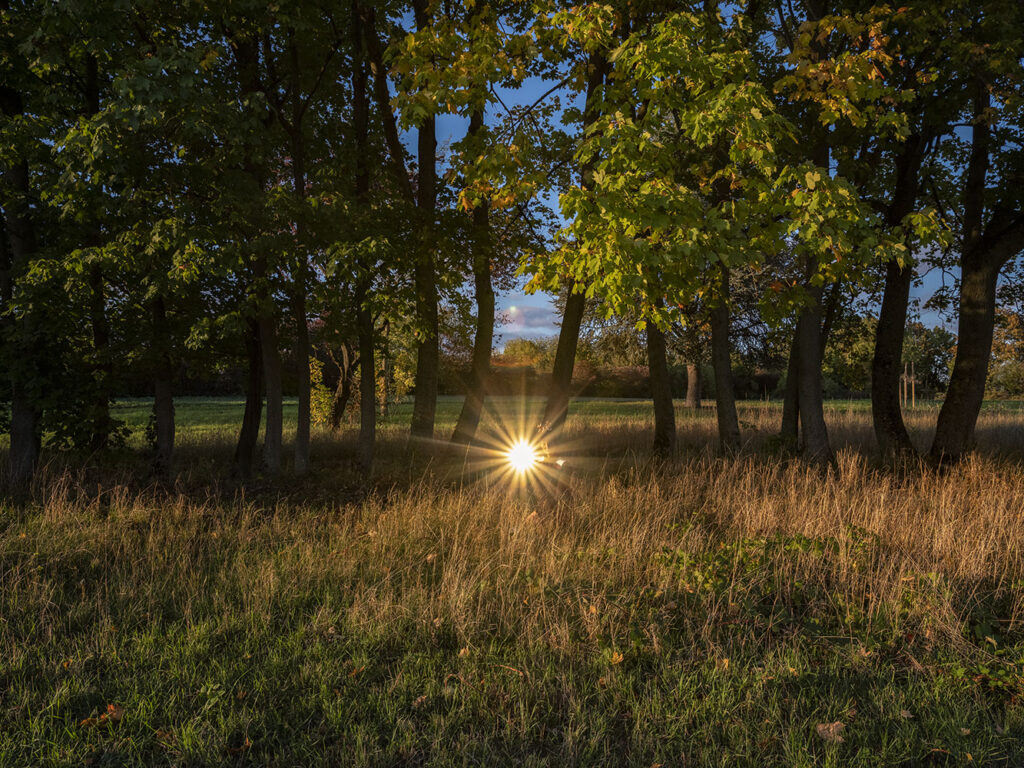 Bild aus dem Fotografie Projekt: "Mission Mars 1989" von Anna Pekala